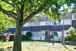 Quiet and Leafy Environments